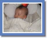 sleeping jakie 2 * 2592 x 1944 * (1.28MB)